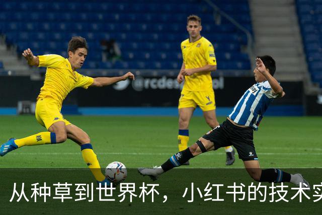 从种草到世界杯，小红书的技术实力藏不住了