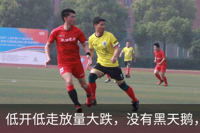 低开低走放量大跌，没有黑天鹅，超4800股下跌，A股今天怎么了？