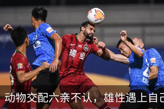 动物交配六亲不认，雄性遇上自己母亲怎么办？马不欺母是真的吗？