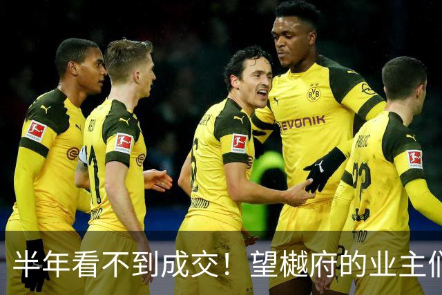 半年看不到成交！望樾府的业主们，是时候自救了