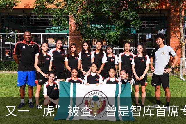 又一“虎”被查，曾是智库首席专家