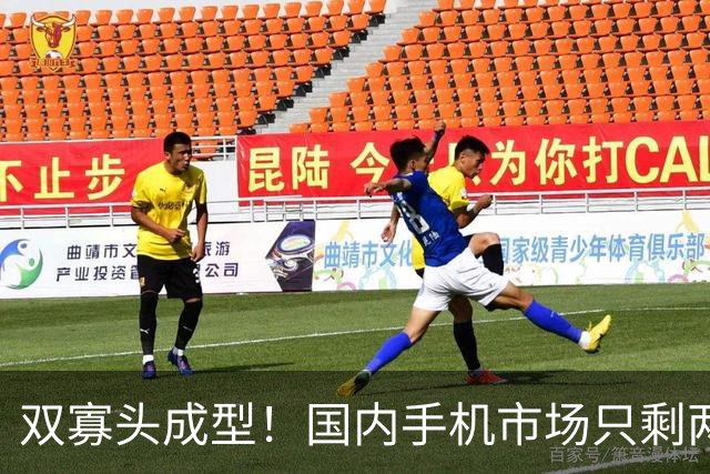 双寡头成型！国内手机市场只剩两大玩家博弈