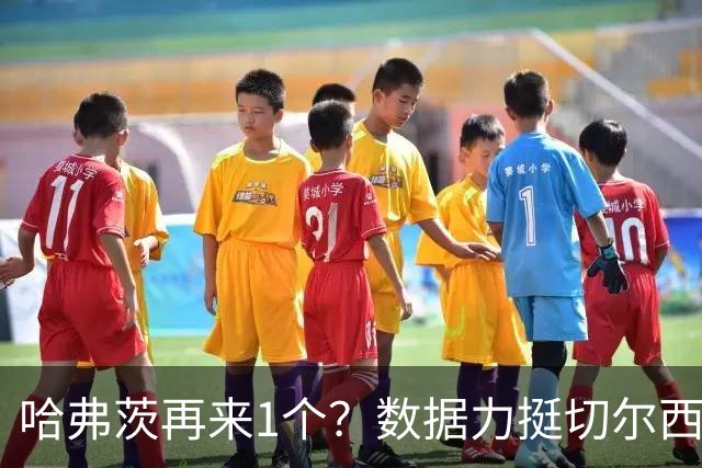 哈弗茨再来1个？数据力挺切尔西双杀进欧冠8强