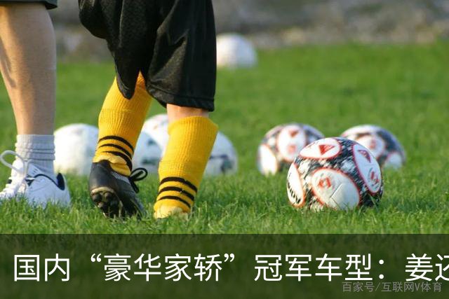 国内“豪华家轿”冠军车型：姜还是老的辣，月均销量超9900台