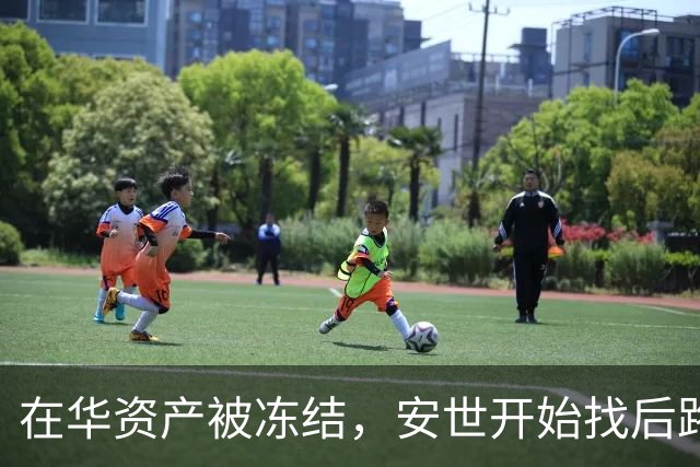 在华资产被冻结，安世开始找后路，中方接到消息，印度已经介入