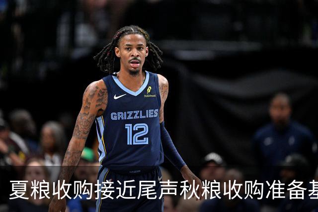 夏粮收购接近尾声秋粮收购准备基本就绪