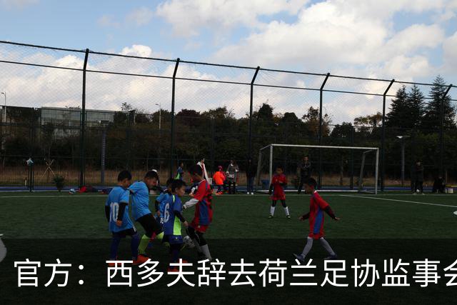 官方：西多夫辞去荷兰足协监事会成员职务，因他已经执教科林蒂安