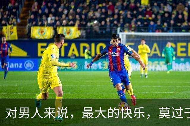 对男人来说，最大的快乐，莫过于征服一个女人