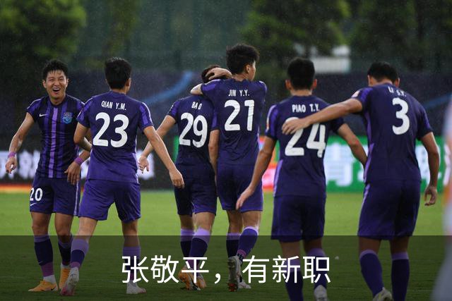 张敬平，有新职