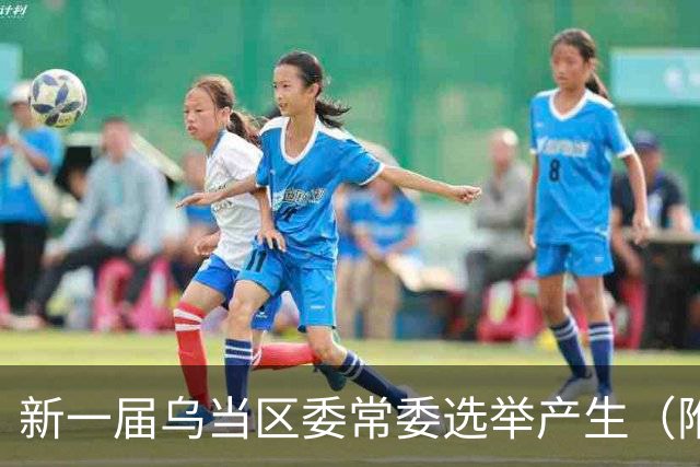 新一届乌当区委常委选举产生（附简历）→