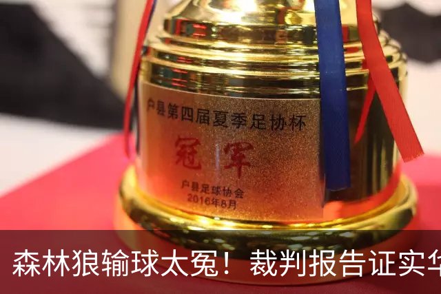 森林狼输球太冤！裁判报告证实华子关键球被犯规：两次错漏判都是骑士获利