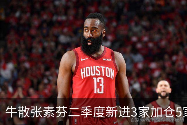 牛散张素芬二季度新进3家加仓5家，股价均低于6元，最大涨幅149%