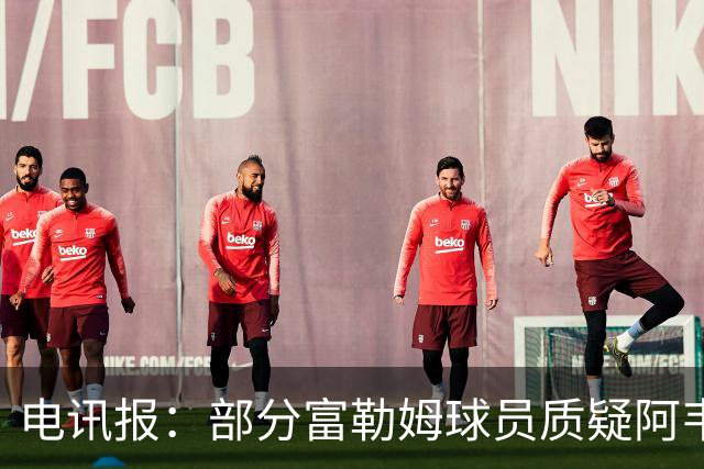 电讯报：部分富勒姆球员质疑阿韦洛亚战术，后者面临信任危机
