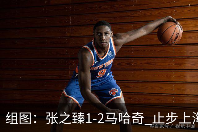 组图：张之臻1-2马哈奇 止步上海大师赛首轮