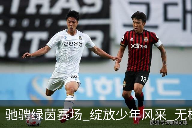 驰骋绿茵赛场 绽放少年风采 无棣“县长杯”足球联赛鸣哨开赛