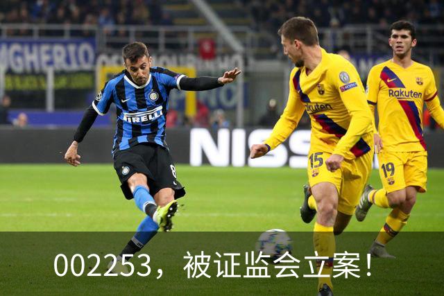 002253，被证监会立案！