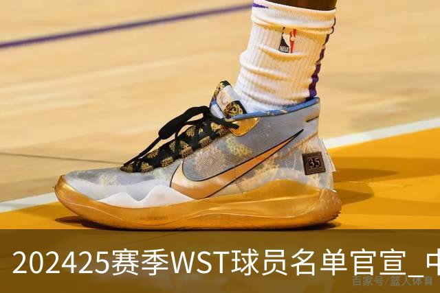 2024/25赛季WST球员名单官宣 中国军团共26人出战