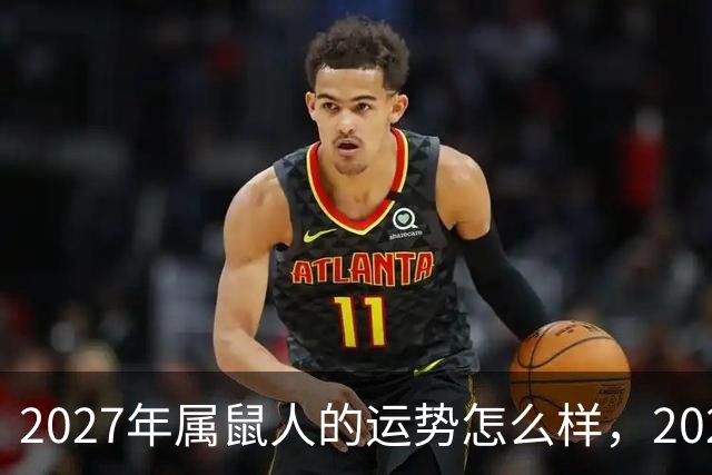 2027年属鼠人的运势怎么样，2027年生肖属鼠人的运势及运程详解