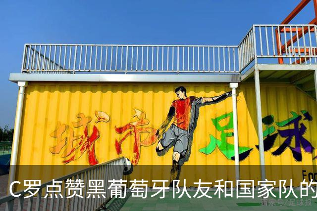 C罗点赞黑葡萄牙队友和国家队的动态！还被霍伊伦辟谣！